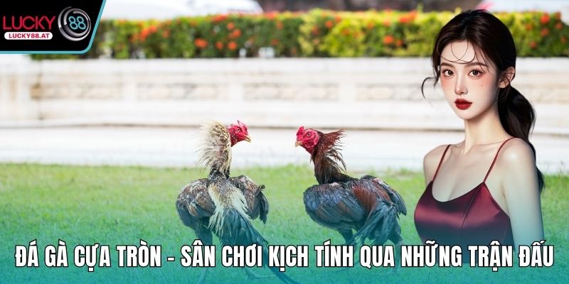 Đá gà cựa tròn