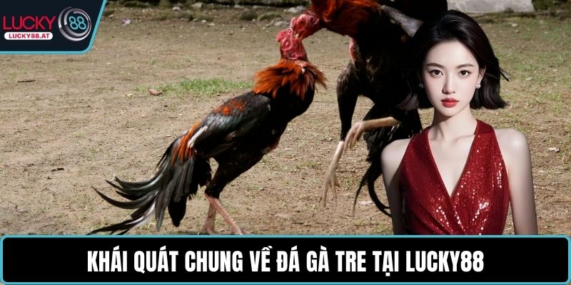 Khái quát chung về đá gà tre tại LUCKY88